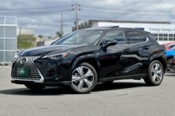 Lexus UX250h Hybrid 2023